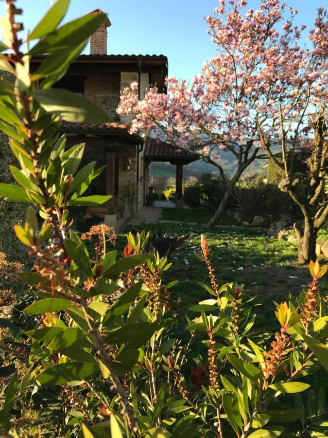 Vitori'S House Tourist Accommodation Ahedo Εξωτερικό φωτογραφία