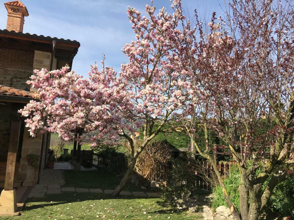 Vitori'S House Tourist Accommodation Ahedo Εξωτερικό φωτογραφία